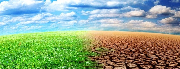 Marcan diferencias con el Gobierno por el cambio climático