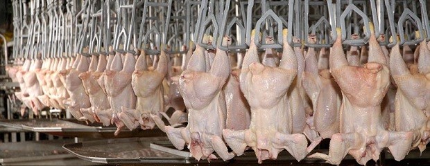 Exportaciones de carne aviar a Brasil cayeron USD20 millones