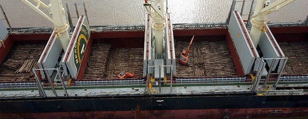 Puertos entrerrianos suman exportaciones a la India