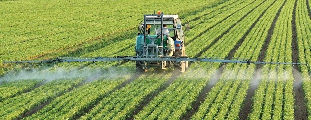 Preocupa que aumento de fertilizantes impacte en cultivos