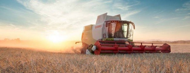 El 24% del PBI argentino proviene del campo