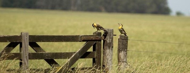 El Estado se lleva el 63,2% de la renta que produce el campo