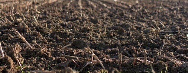 Crece el interés por la agricultura regenerativa