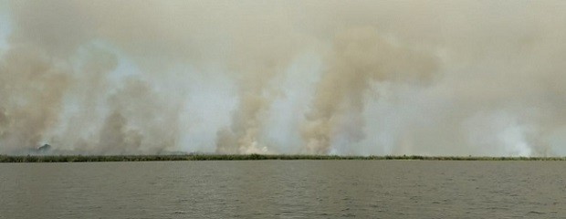 Corrientes: los incendios llegaron a los Esteros del Iberá