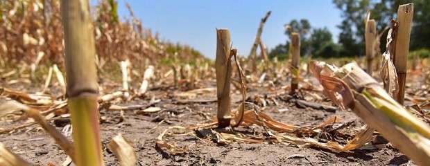 Mapa de la sequía: 2 millones de hectáreas con daños severos