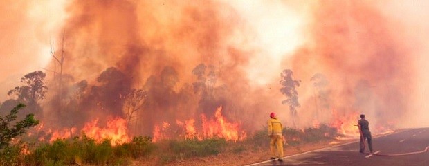 Corrientes: declaran emergencia nacional por los incendios