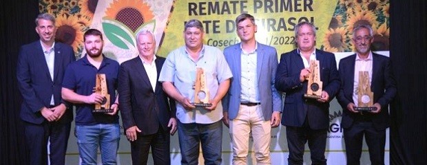 Se remató el Primer Lote de Girasol de la campaña 2021/22