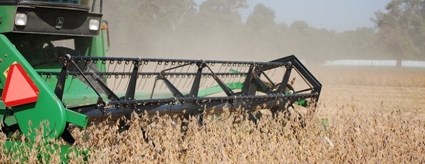 Avanzan las tareas de cosecha de arroz, soja y sorgo