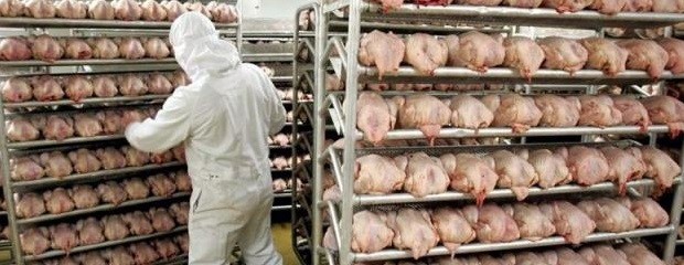 Pollo: crece la faena y el consumo interno