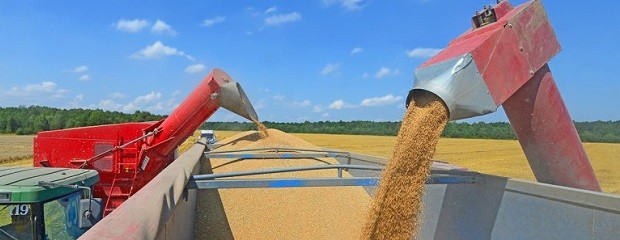 Según FADA, el agro explica el 25,6% del PBI argentino