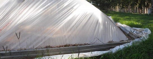 Energía solar para mejorar la salud de los suelos