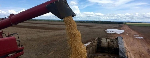 El campo y la agroindustria exportaron USD 22.309 millones 