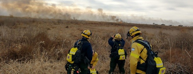 Brigadistas combaten los incendios en islas del Delta