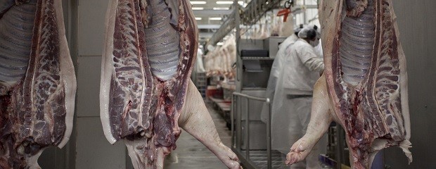 Singapur habilita importación de carne y productos porcinos