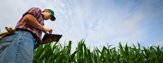 El agro se adapta a nuevos requerimientos de consumidores