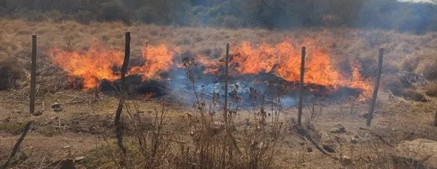  Incendios: hay seis provincias con focos activos