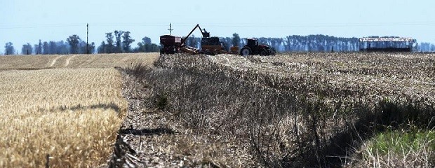 Hay casi 23 millones de hectáreas en condiciones de sequía