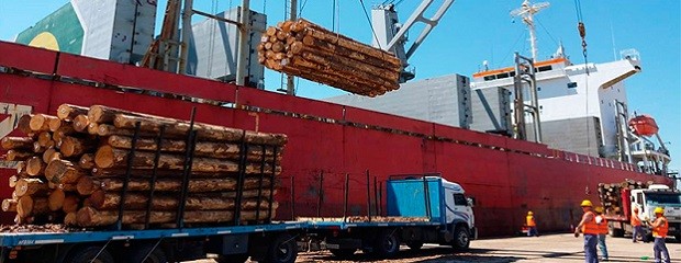 Carga simultánea de maderas en los puertos entrerrianos