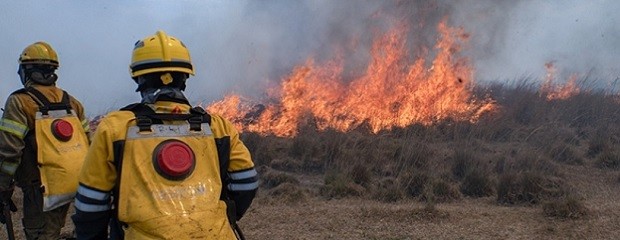 Trabajan para extinguir foco activo en las islas del Delta