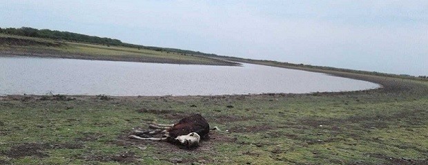 La sequía no da tregua y se vive una situación límite