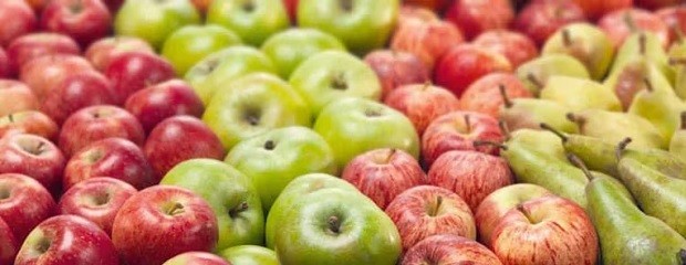 Productores de peras y manzanas piden un dólar fruta