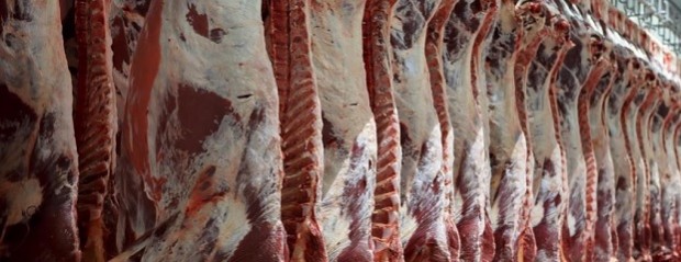 Carne contaminada: exportadores reclaman seguridad e higiene