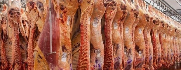 Advierten que los precios de la carne seguirán en suba