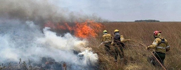 El fuego arrasó con más de 27.000 hectáreas en Corrientes