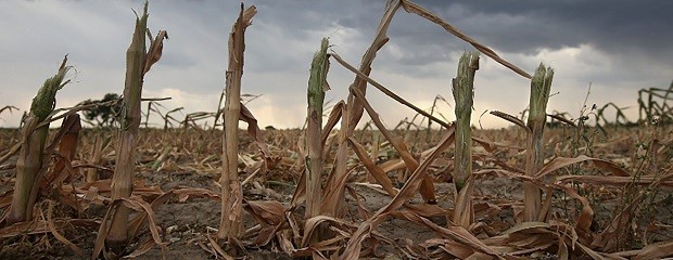 Declaran la emergencia agropecuaria en Entre Ríos