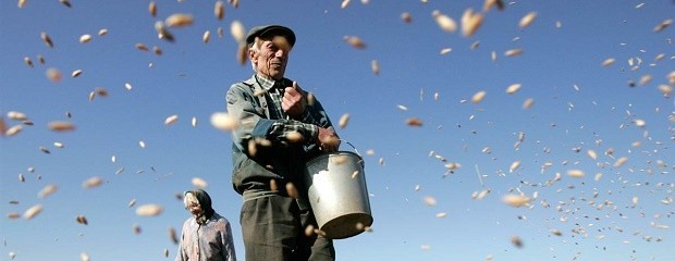  Trabajadores rurales no cobrarán incentivo de 50.000 pesos 