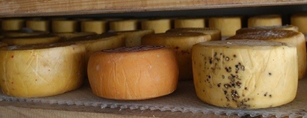  Hoy se celebra el día mundial del queso