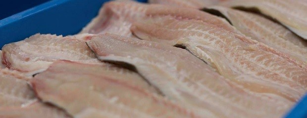 Pautas para el consumo seguro de productos de pesca