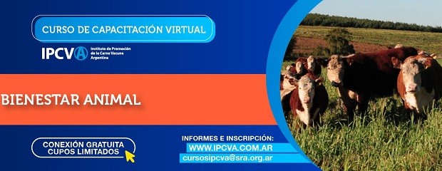 El IPCVA organiza curso gratuito de Bienestar Animal