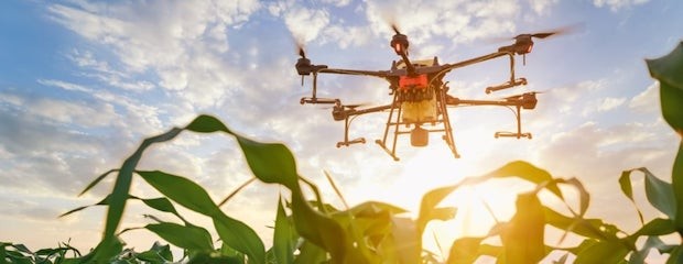 Cómo la tecnología apoya la agricultura 4.0 