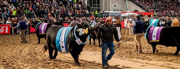 La Exposición Rural tuvo más de 1,3 millones de visitantes