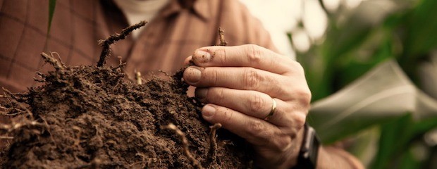 Bayer presenta su enfoque en Sustentabilidad en Aapresid