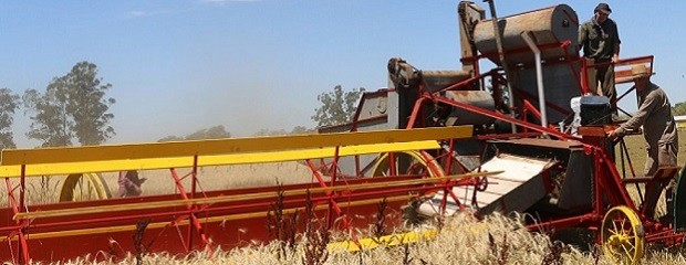 Hoy se celebra el Día del Agricultor