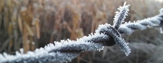 Condiciones invernales llegarían a zona central y pampeana