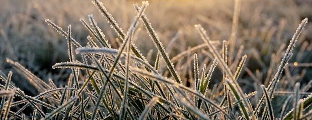  Transición hacia un invierno más frío