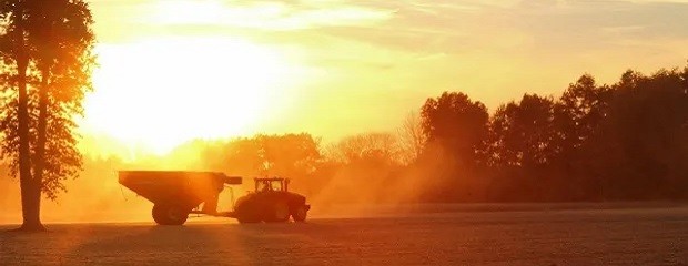 La semana está influenciado por la presencia de aire frío