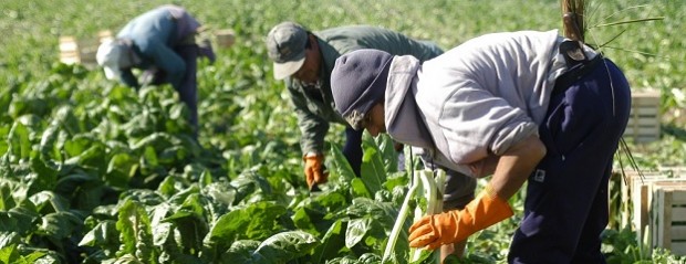 El RENATRE aumentó la prestación por desempleo