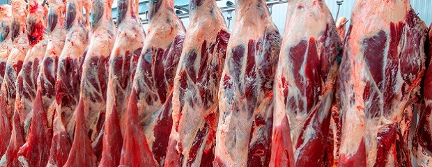 Argentina volvió a exportar carne halal a Egipto