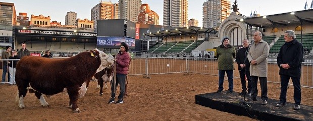 Místico, el primer ingreso a la Expo Rural