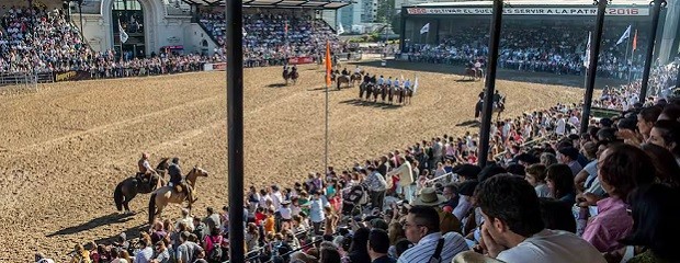 El Caballo Criollo recibirá la denominación Marca País