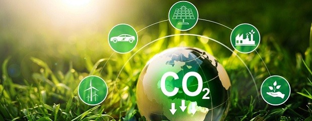 La Mesa de Carbono pide leyes para proyectos sustentables