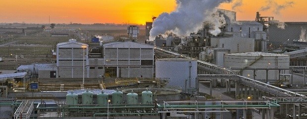 Caracterización de la producción de biodiesel en Argentina