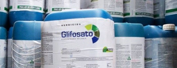 Declaran inconstitucional prohibición del uso de Glifosato