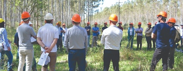 Jornadas Forestales: nuevas perspectivas para el sector